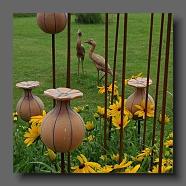 Rudbeckia + capsule de pavot (le jardin de la poterie Hillen) www.poterie.fr